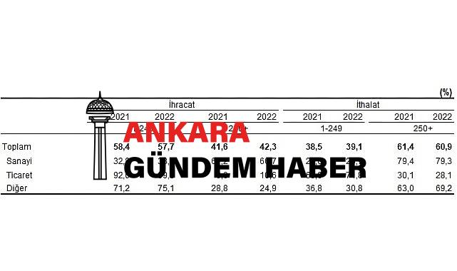 İhracatın yüzde 42,3’ünü, ithalatın ise yüzde 60,9’unu büyük ölçekli girişimler gerçekleştirdi