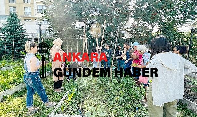  Kent ortasında Ekolojik tarım 