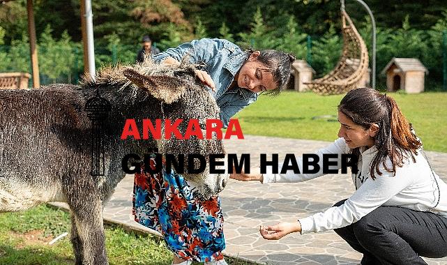 Hepsiburada, 4 Ekim Hayvanları Koruma Günü’nde Can Dostlarımızı Unutmadı