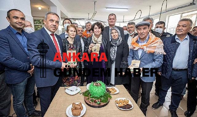 Beydağ’dan Yükselen Kestane Unu Çölyak Hastalarina Derman Oluyor 