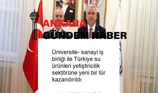 Üniversite- sanayi iş birliği ile Türkiye su ürünleri yetiştiricilik sektörüne yeni bir tür kazandırıldı