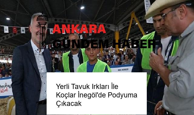 Yerli Tavuk Irkları İle Koçlar İnegöl’de Podyuma Çıkacak