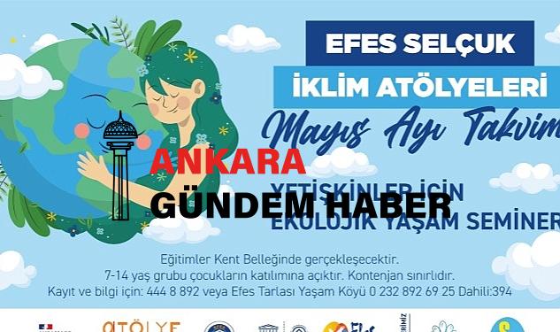 Ekolojik Kriz Bir Sistem Krizidir