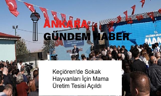 Keçiören’de Sokak Hayvanları İçin Mama Üretim Tesisi Açıldı