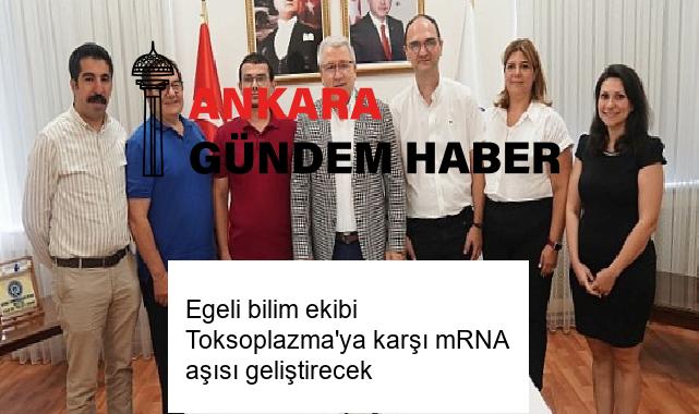 Egeli bilim ekibi Toksoplazma’ya karşı mRNA aşısı geliştirecek