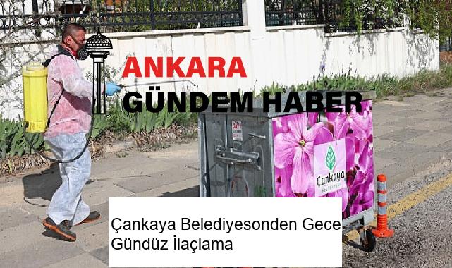 Çankaya Belediyesonden Gece Gündüz İlaçlama