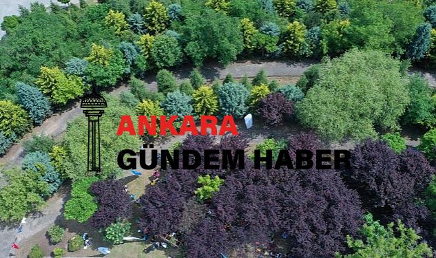 Toprak Dede ve Yaprak Dede’nin isimleri ölümsüzleştirildi