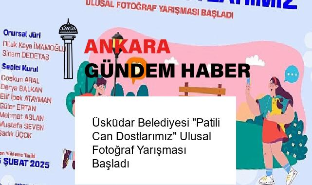 Üsküdar Belediyesi “Patili Can Dostlarımız” Ulusal Fotoğraf Yarışması Başladı