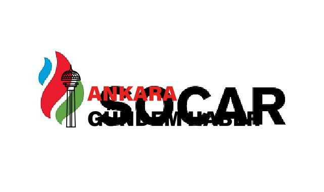 Biyoyakıt üretimi için ilk adımı atan SOCAR Türkiye, yeni ve farklı bir teknoloji ile mikro yosunlardan jet yakıtı üretecek