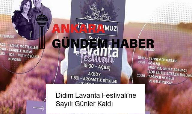 Didim Lavanta Festivali’ne Sayılı Günler Kaldı