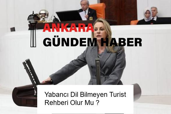 Yabancı Dil Bilmeyen Turist Rehberi Olur Mu ?