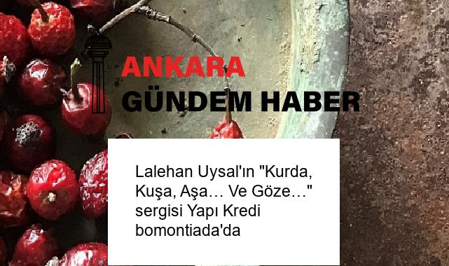 Lalehan Uysal’ın “Kurda, Kuşa, Aşa… Ve Göze…” sergisi Yapı Kredi bomontiada’da