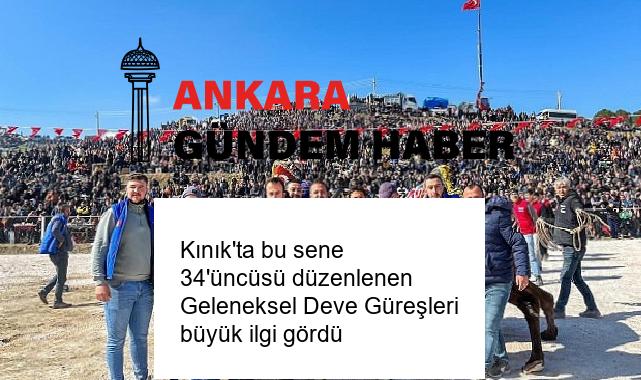 Kınık’ta bu sene 34’üncüsü düzenlenen Geleneksel Deve Güreşleri büyük ilgi gördü