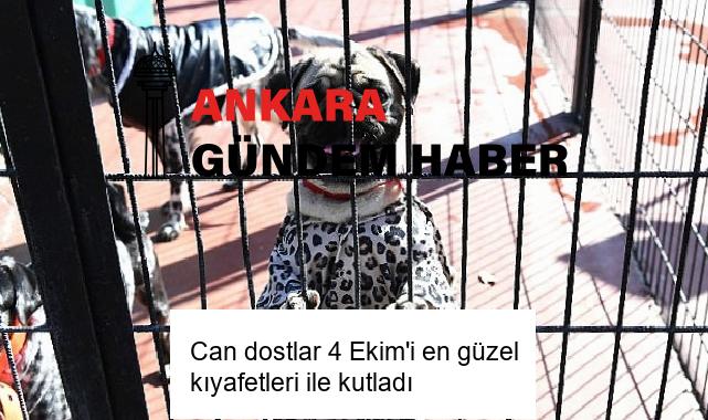 Can dostlar 4 Ekim’i en güzel kıyafetleri ile kutladı