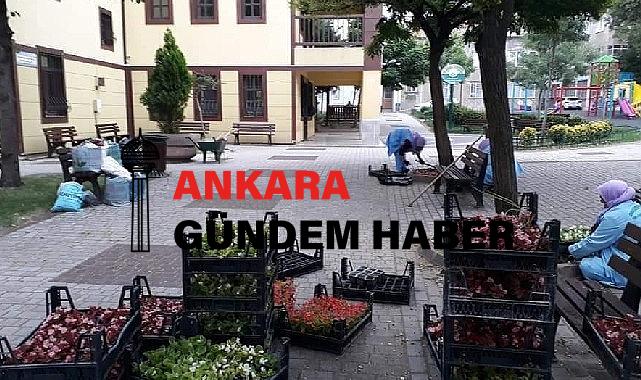 -Osmangazi Belediyesi ilçeyi çiçek bahçesine çeviriyor