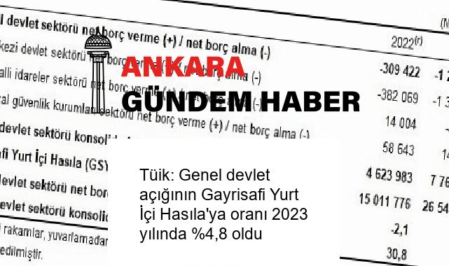 Tüik: Genel devlet açığının Gayrisafi Yurt İçi Hasıla’ya oranı 2023 yılında %4,8 oldu