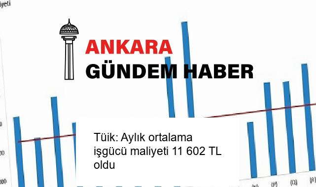Tüik: Aylık ortalama işgücü maliyeti 11 602 TL oldu