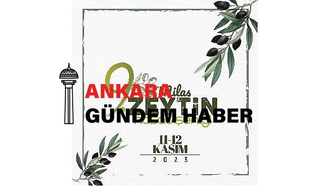 9 Milas zeytin hasat şenliği heyecanı başlıyor