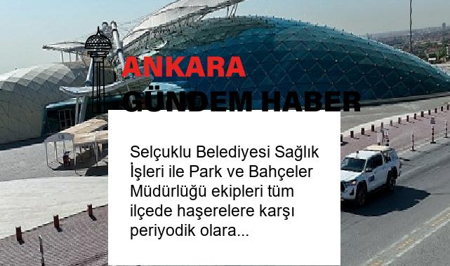 Selçuklu Belediyesi Sağlık İşleri ile Park ve Bahçeler Müdürlüğü ekipleri tüm ilçede haşerelere karşı periyodik olarak ilaçlama çalışmalarını sürdürüyor.