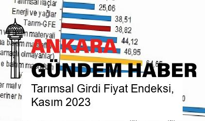 Tarımsal Girdi Fiyat Endeksi, Kasım 2023