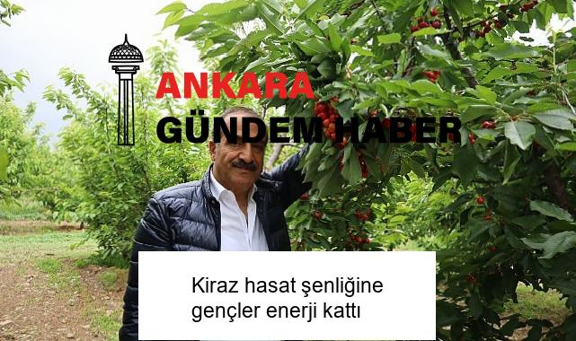 Kiraz hasat şenliğine gençler enerji kattı