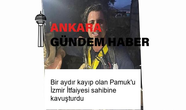 Bir aydır kayıp olan Pamuk’u İzmir İtfaiyesi sahibine kavuşturdu
