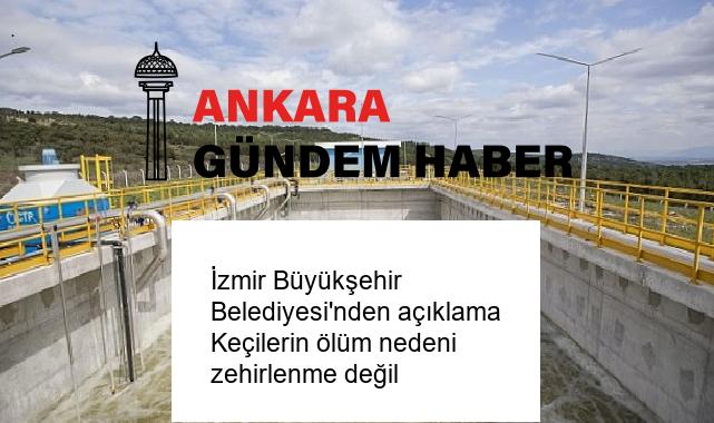 İzmir Büyükşehir Belediyesi’nden açıklama Keçilerin ölüm nedeni zehirlenme değil