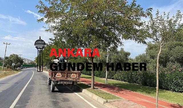 Milas Belediyesi mevsimsel bakım çalışmalarına devam ediyor