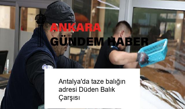 Antalya’da taze balığın adresi Düden Balık Çarşısı