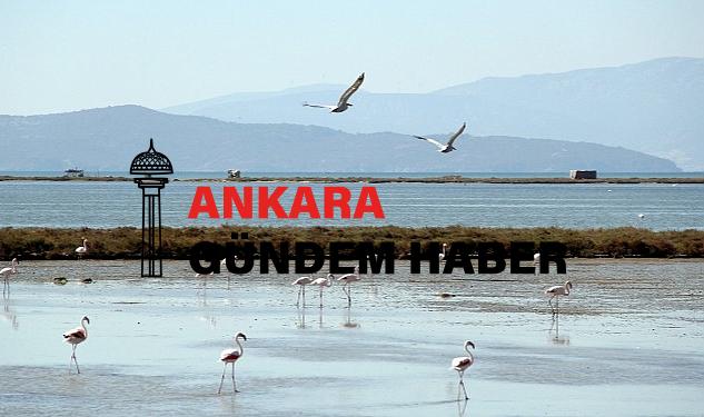 Kuş Cenneti’ne anjiyo: 40 km yatak temizlenecek