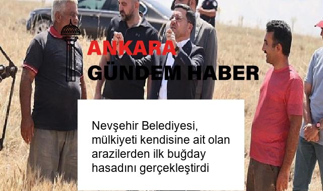 Nevşehir Belediyesi, mülkiyeti kendisine ait olan arazilerden ilk buğday hasadını gerçekleştirdi
