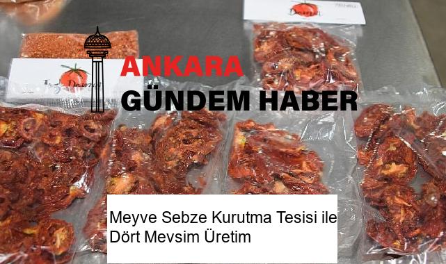 Meyve Sebze Kurutma Tesisi ile Dört Mevsim Üretim