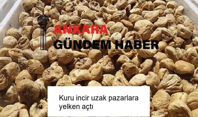 Kuru incir uzak pazarlara yelken açtı
