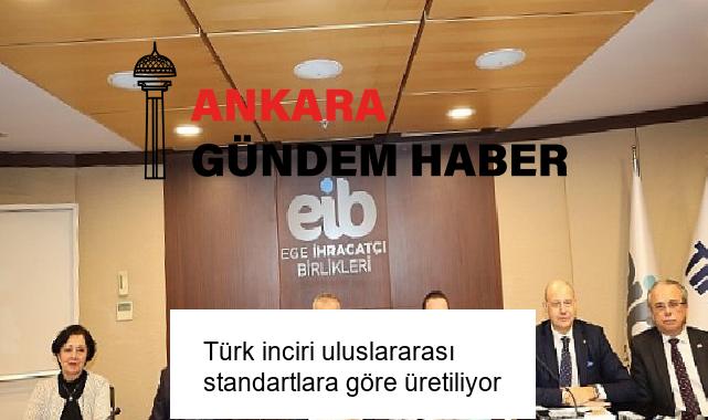 Türk inciri uluslararası standartlara göre üretiliyor
