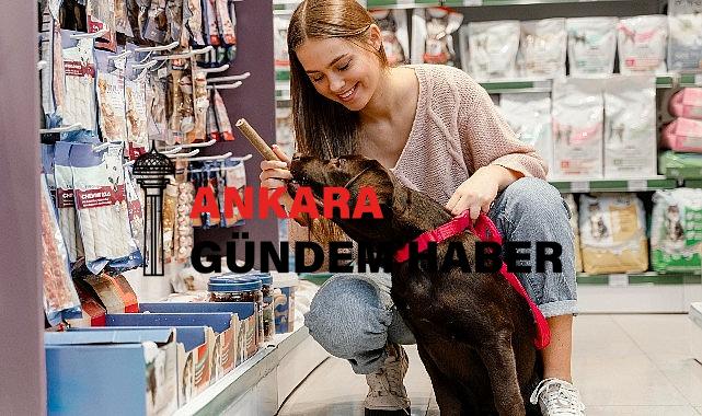 Türkiye evcil hayvan ürünleri pazarında