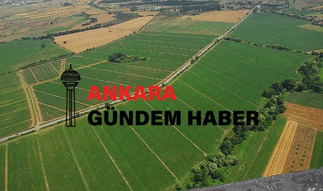Kocaeli Büyükşehir’den çiftçilere tohum desteği