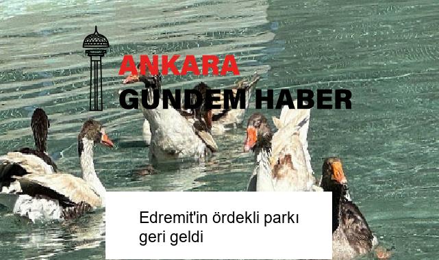 Edremit’in ördekli parkı geri geldi
