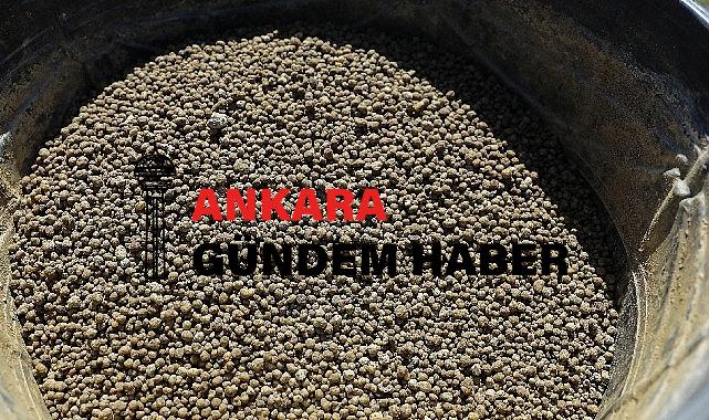 Aksu’daki meralarda iyileştirme çalışması