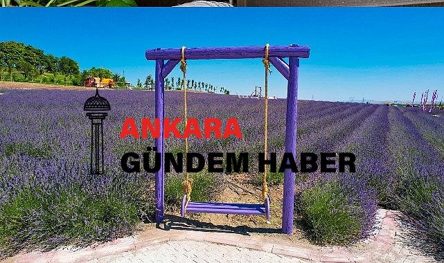 Çumra Misak-ı Milli Parkı Doğal Güzelliğiyle Ziyaretçilerini Büyülüyor