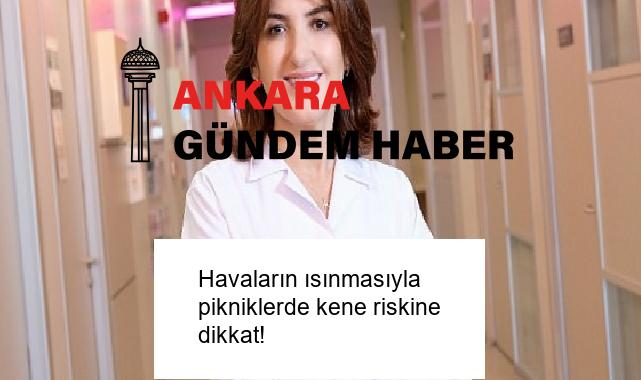 Havaların ısınmasıyla pikniklerde kene riskine dikkat!