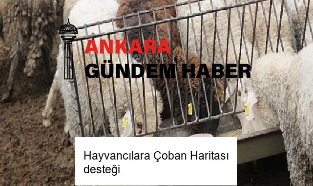 Hayvancılara Çoban Haritası desteği