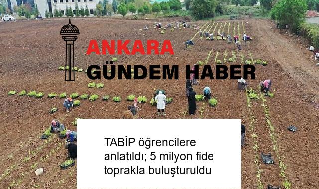 TABİP öğrencilere anlatıldı; 5 milyon fide toprakla buluşturuldu