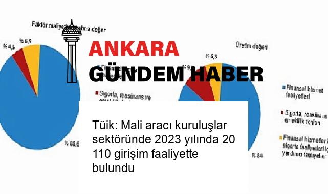 Tüik: Mali aracı kuruluşlar sektöründe 2023 yılında 20 110 girişim faaliyette bulundu