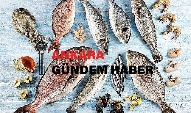 Türkiye’nin 6 aylık su ürünleri ihracatı 829 milyon dolara ulaştı