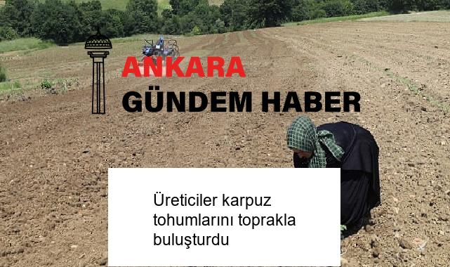 Üreticiler karpuz tohumlarını toprakla buluşturdu