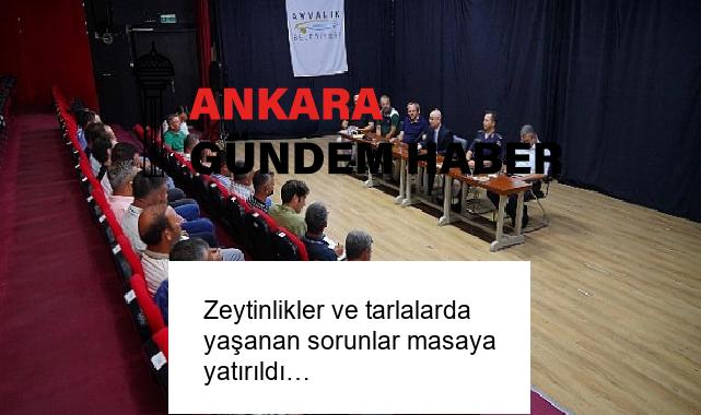 Zeytinlikler ve tarlalarda yaşanan sorunlar masaya yatırıldı…