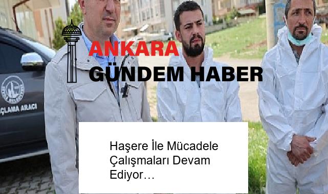 Haşere İle Mücadele Çalışmaları Devam Ediyor…