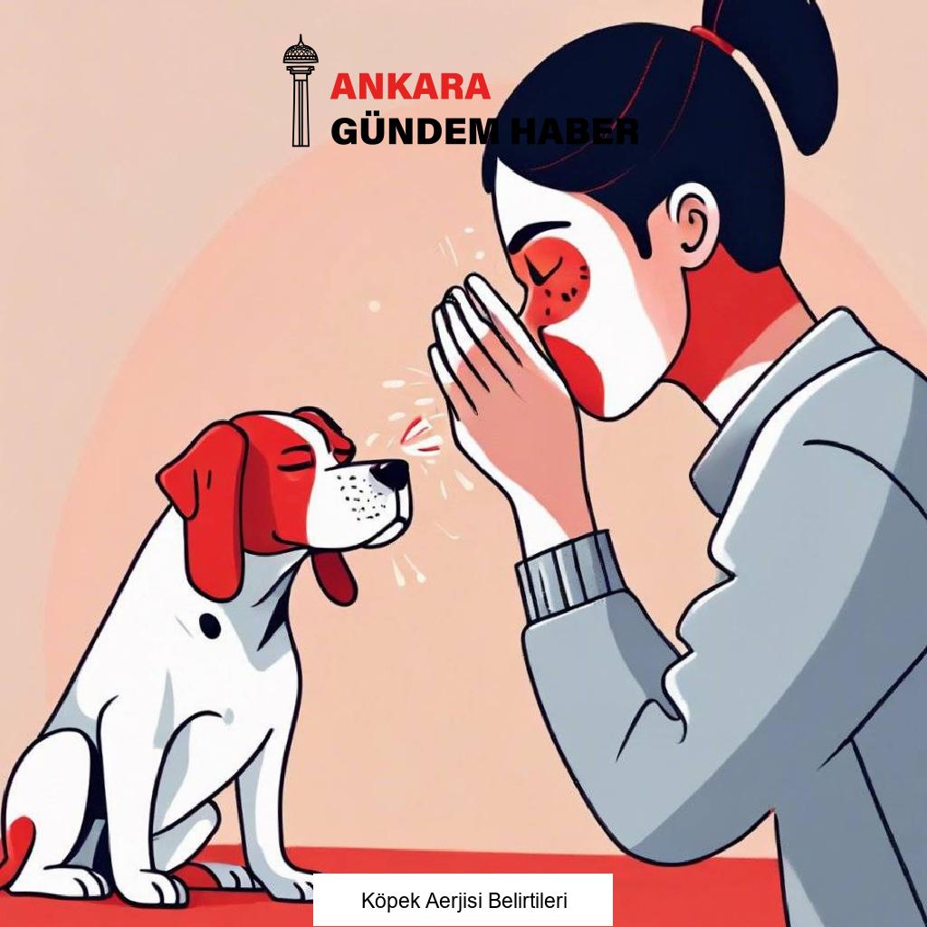 Köpek Aerjisi Belirtileri