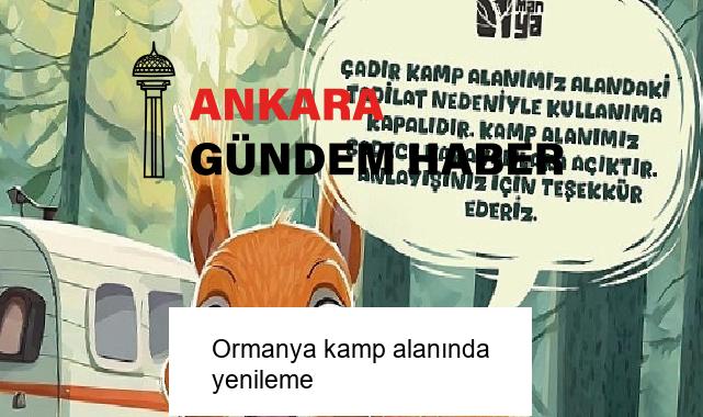 Ormanya kamp alanında yenileme