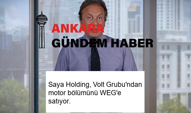 Saya Holding, Volt Grubu’ndan motor bölümünü WEG’e satıyor.